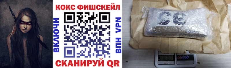 Cocaine Fish Scale  Купить закладки  Лебедянь 