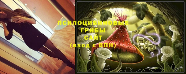 ALPHA PVP Горно-Алтайск