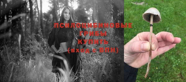 каннабис Горнозаводск