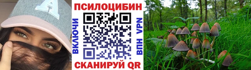 Галлюциногенные грибы MAGIC MUSHROOMS  Купить где  Лебедянь 